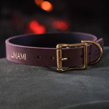 Load image into Gallery viewer, Matte Brown Dog Collar