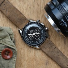 Load image into Gallery viewer, Steppe Brown Kudu