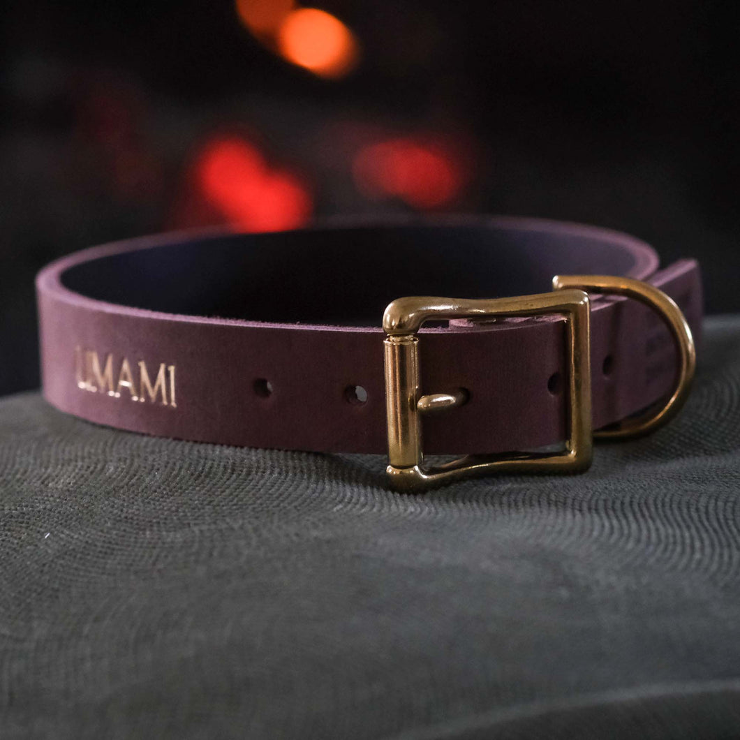 Matte Brown Dog Collar